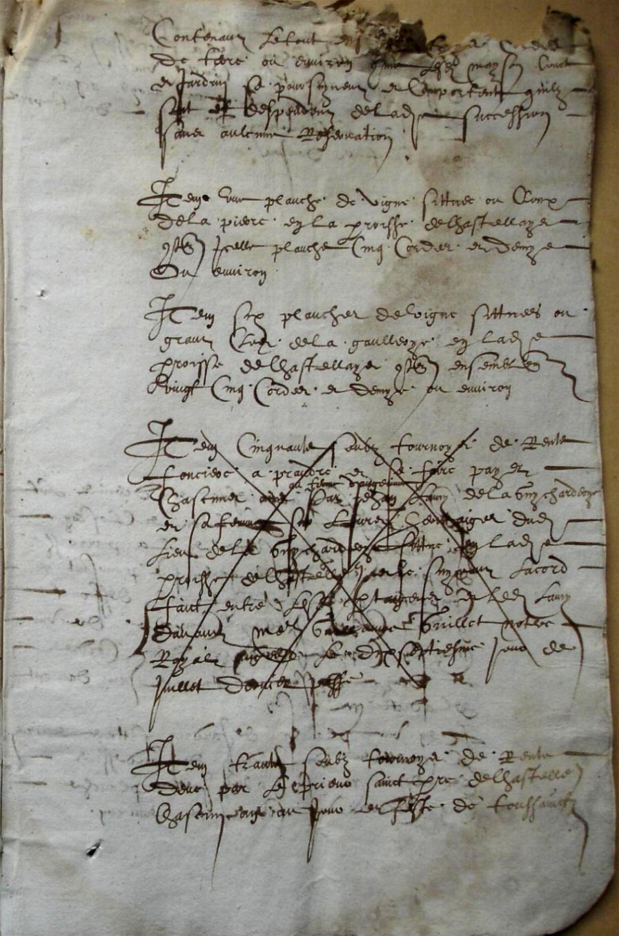 Cohon-G_1615 (9).JPG